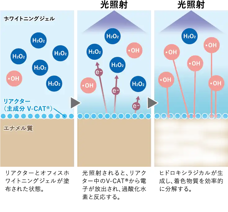 ティオン オフィス（V-CAT応用）の効果